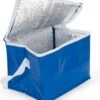 Merkloos PVC Mini Koeltasje | Koeltas Lunch | Compacte Koeltas Blauw | Koeltasje Voor 6 Blikjes -Buitenkampeer Winkel 1024x1200