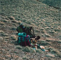 LOWLAND OUTDOOR® Donzen Slaapzak - Super Compact Blanket - 210 X 80 Cm - 590gr +8°C 23 LOWLAND OUTDOOR® Donzen Slaapzak - Super Compact Blanket - 210 X 80 Cm - 590gr +8°C -Buitenkampeer Winkel 1200x1196 7