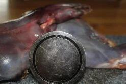 【JACHTMAGNEET / HAGELMAGNEET 】– Jacht Accessoires 2020 – Hagel Verwijderaar – Jagers Cadeau - Wild Magneet 10 【JACHTMAGNEET / HAGELMAGNEET 】– Jacht Accessoires 2020 – Hagel Verwijderaar – Jagers Cadeau - Wild Magneet -Buitenkampeer Winkel 1200x800 141