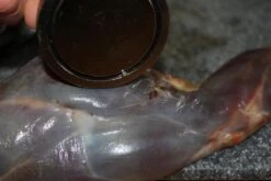 【JACHTMAGNEET / HAGELMAGNEET 】– Jacht Accessoires 2020 – Hagel Verwijderaar – Jagers Cadeau - Wild Magneet 12 【JACHTMAGNEET / HAGELMAGNEET 】– Jacht Accessoires 2020 – Hagel Verwijderaar – Jagers Cadeau - Wild Magneet -Buitenkampeer Winkel 1200x800 143